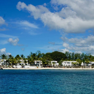 Photo by Phiish showcase