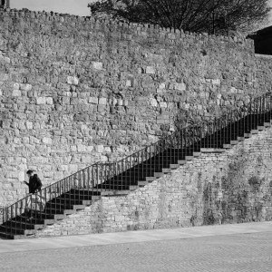 Photo by Phiish showcase