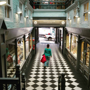 Photo by Phiish showcase