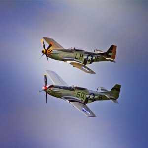 Photo by Phiish showcase